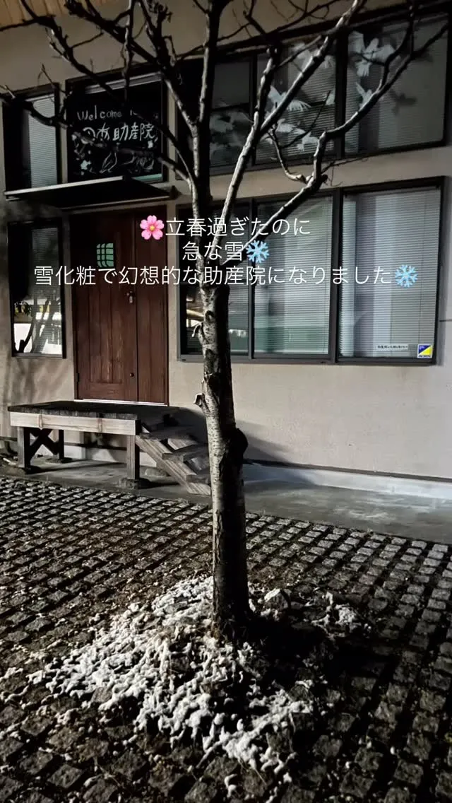 🌸立春過ぎたのに